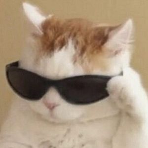 Meet your Posher, Maggie